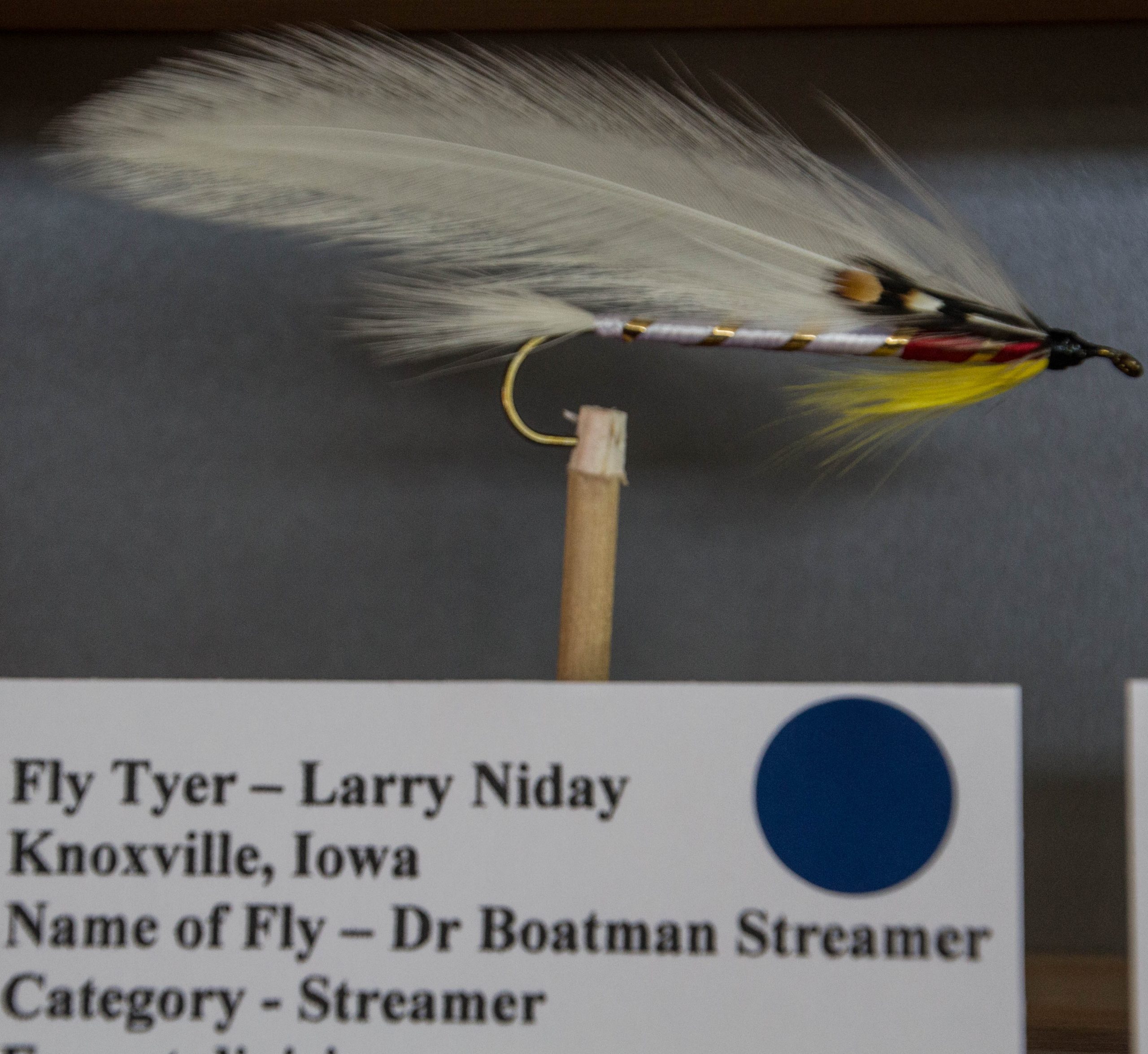 Closeup of a fly on display at the fly fishing competition.